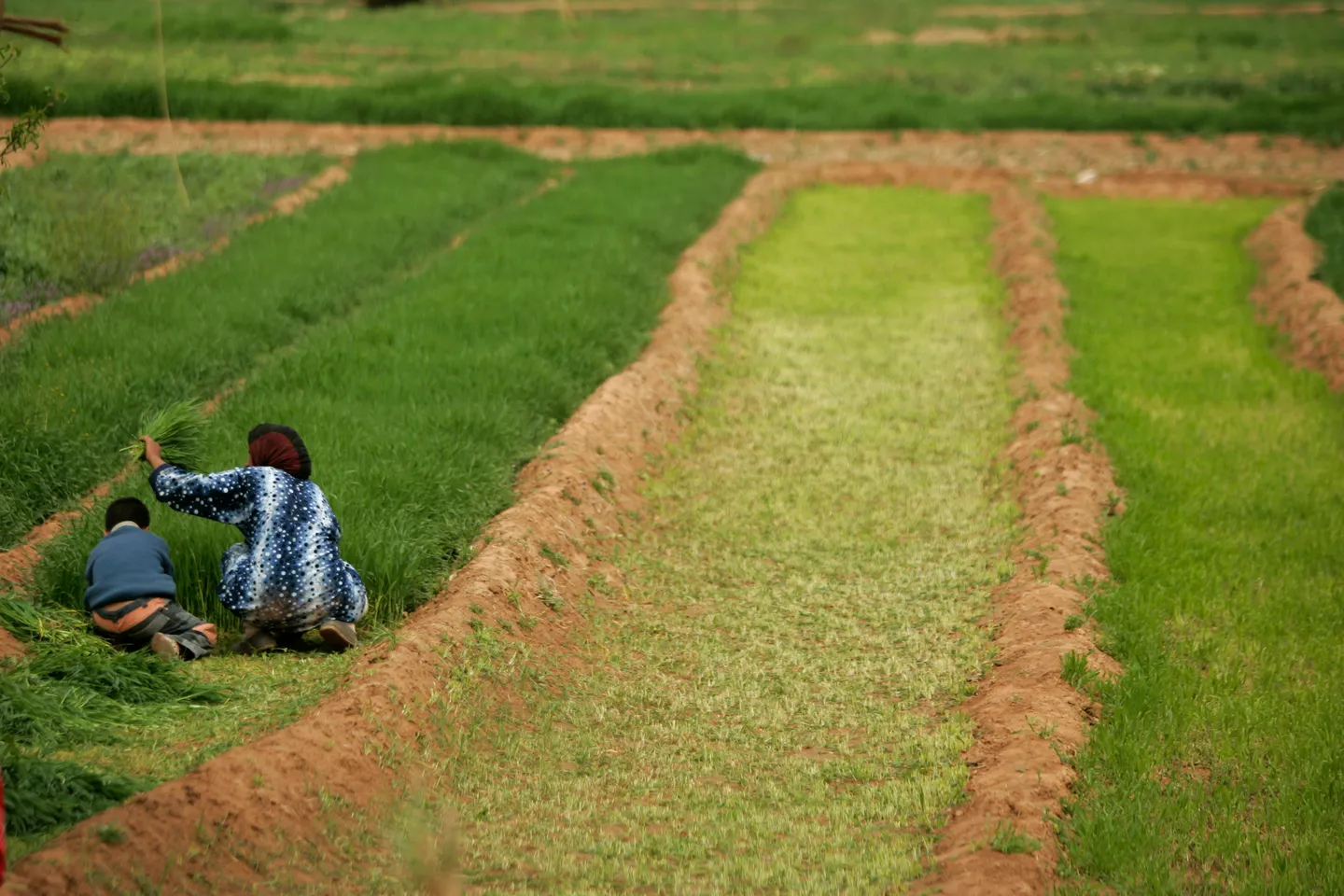 Maroc : les niveaux de réserve d’eau grimpent après de fortes précipitations