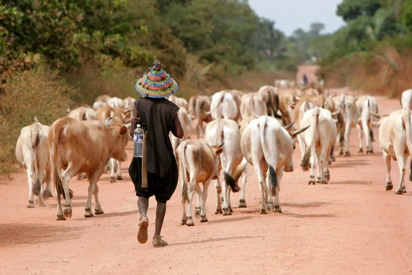 Burkina Faso na bincike kan saƙon ‘kashe Fulani’ da aka wallafa a shafukan sada zumunta