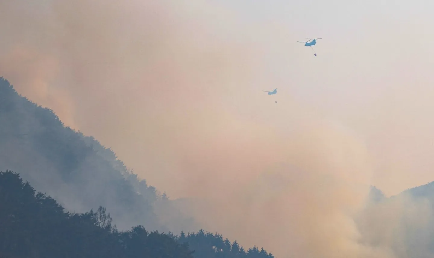 Kebakaran hutan menyebabkan kematian, memaksa ratusan penduduk pindah di Korea Selatan