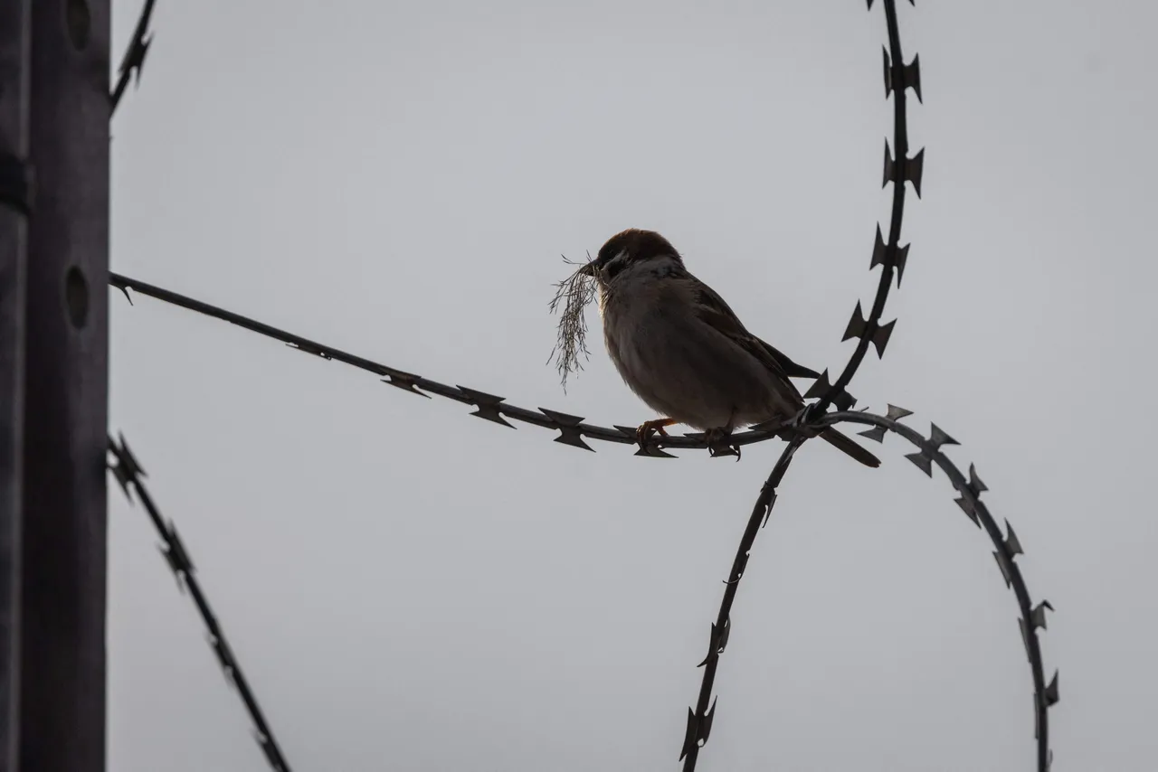 Izrael 13 települési előőrs elkülönítését és legalizálását engedélyezte a megszállt Ciszjordániában