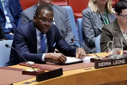 Africa continues campaign for permanent UN Security Council seat