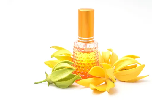 Africa's scented wealth: Ylang ylang flower, the source of fragrances