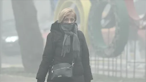 Studim, ndotja e ajrit mund ta dëmtojë shëndetin e trurit tek të moshuarit