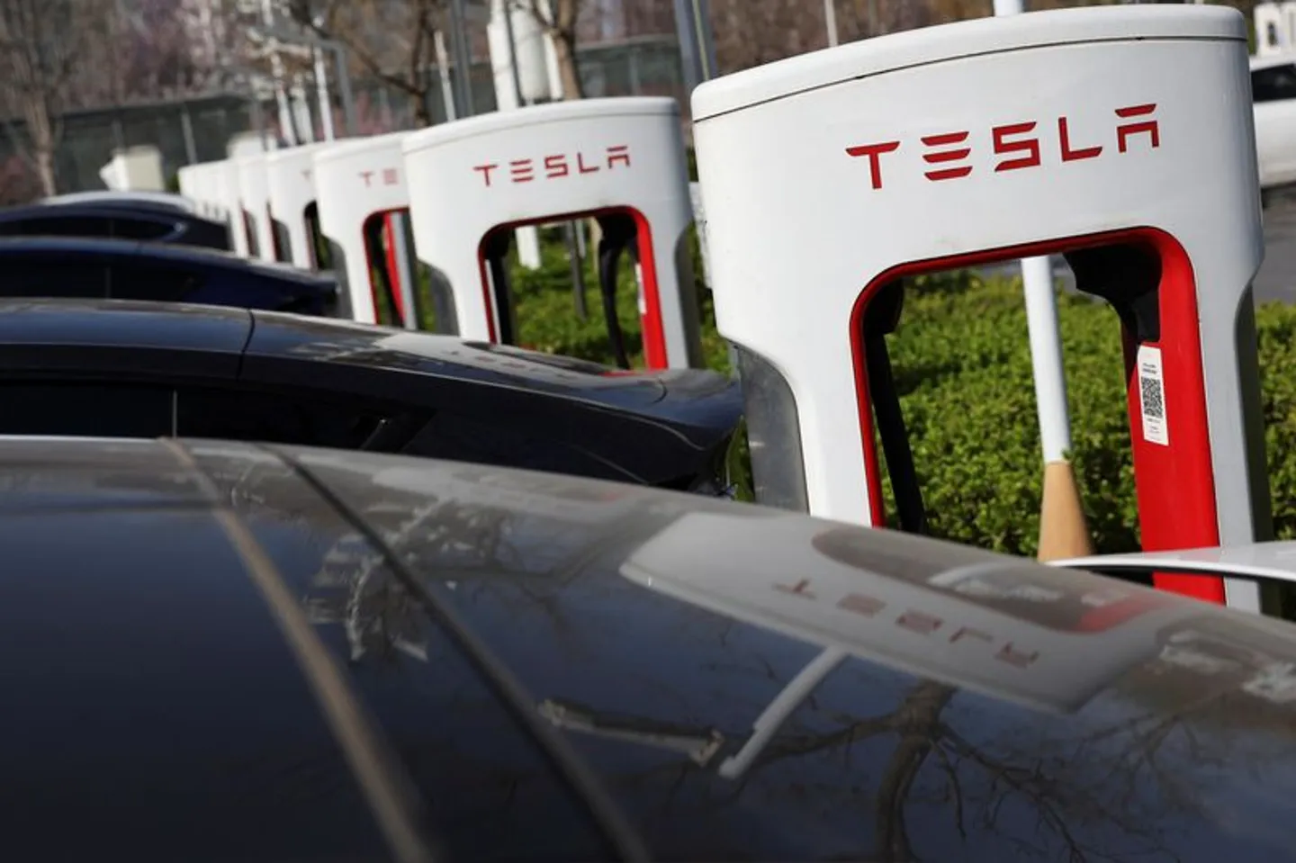 Tesla's European car sales drop by half
