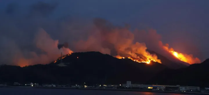 Zjarret masive përfshijnë Japoninë, mbi 600 hektarë të djegura