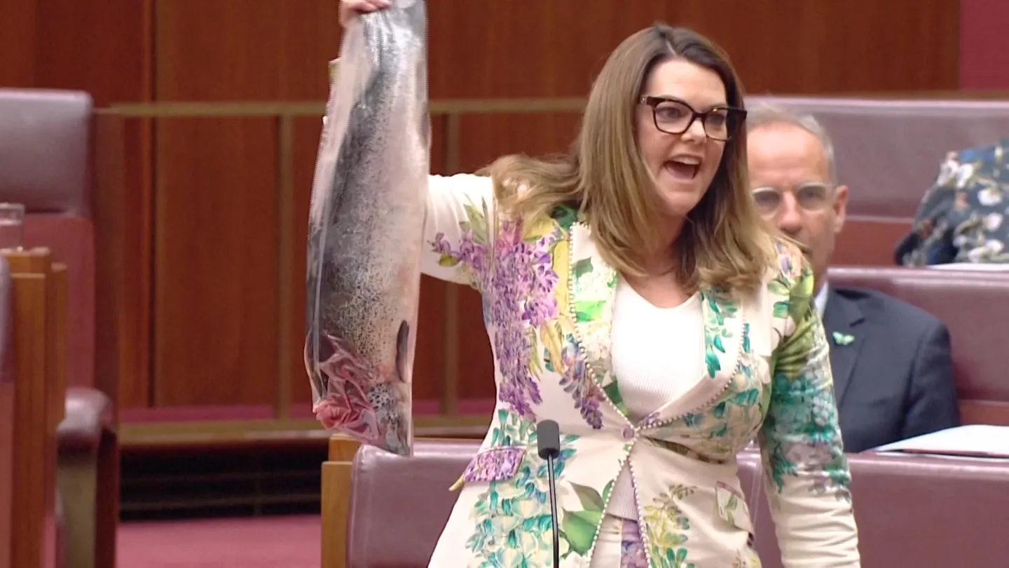 Fishy protest: Australian lawmaker hangs salmon in parliament to oppose farming policy