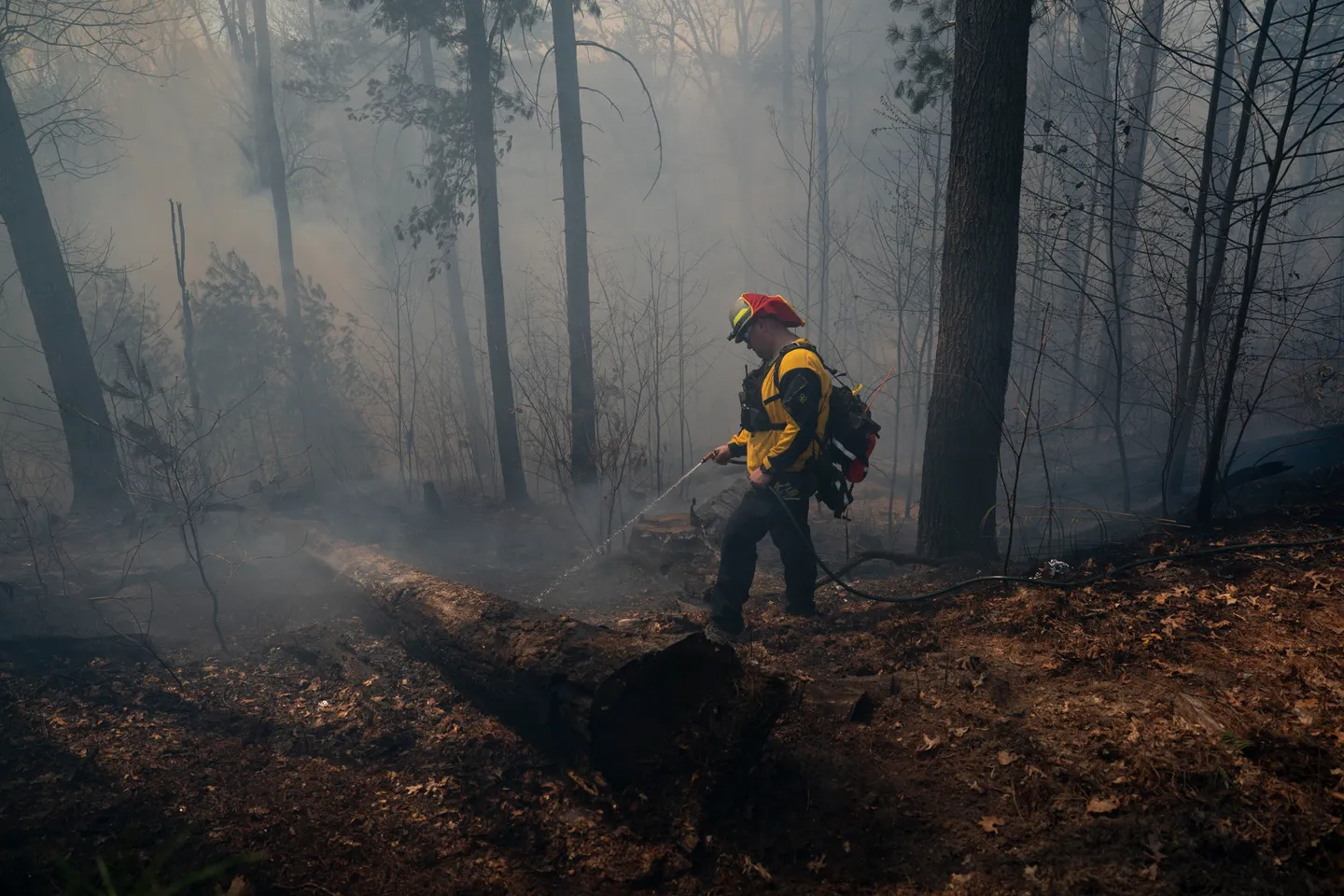 Firefighters make progress containing some Carolina wildfires, but others grow