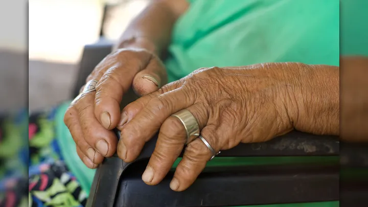 Cultivar sin químicos, la tendencia eco que en la Argentina no para de crecer