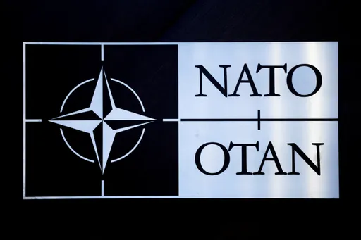 北约：盟国将共同努力确保北极安全