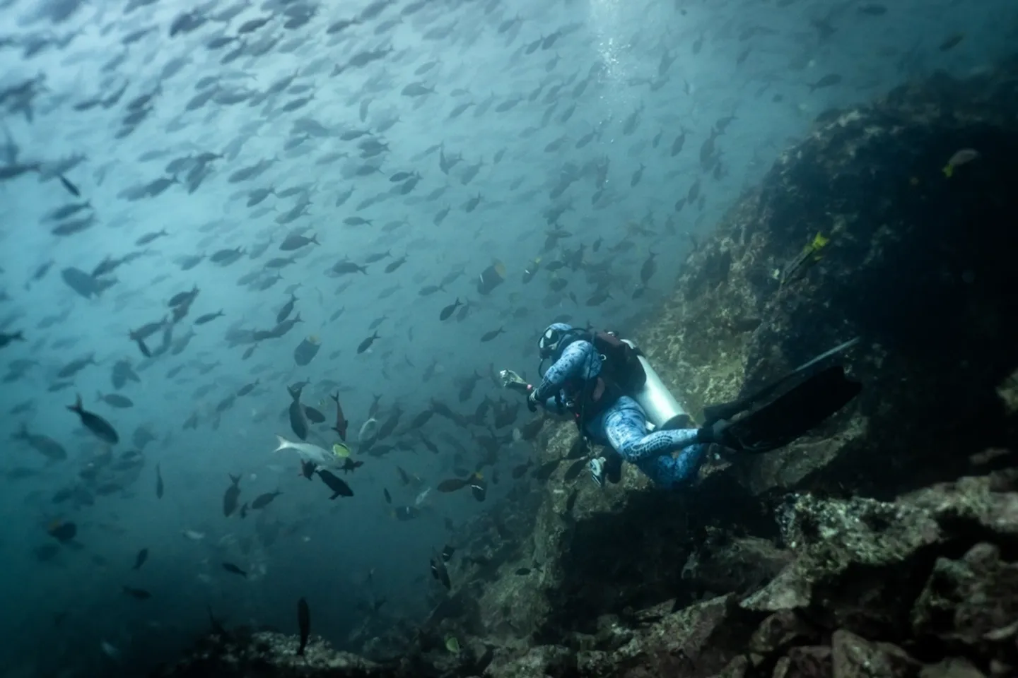 Ostrva Galapagos: Prirodni raj i centar za istraživače biljaka, životinja i mora