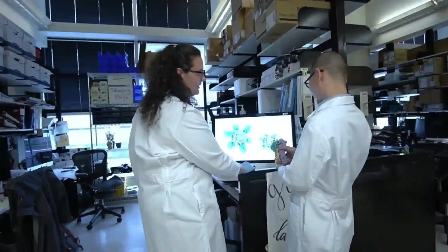 Cuts in US research funding could cede scientific lead to China, say scientists