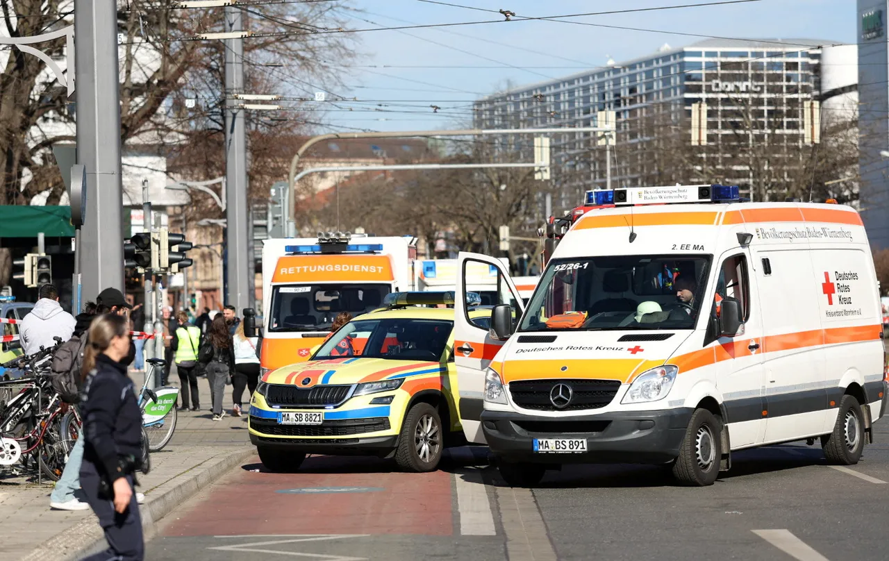 Driver rams car into crowd in Germany's Mannheim, killing at least two