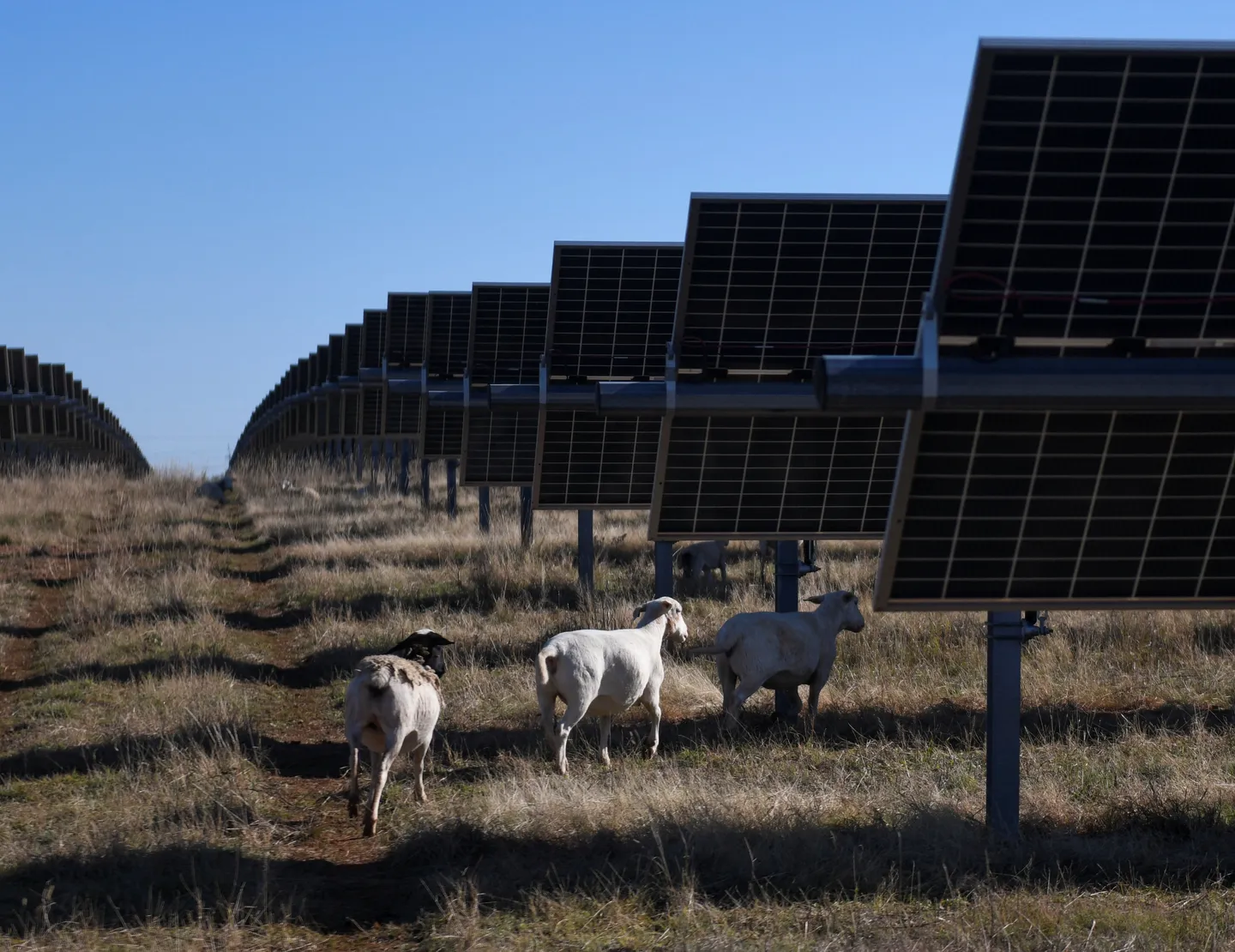 АКШ Түштүк-Чыгыш Азиядан импорттолуучу күн батареяларына жогорку тарифтерди киргизди