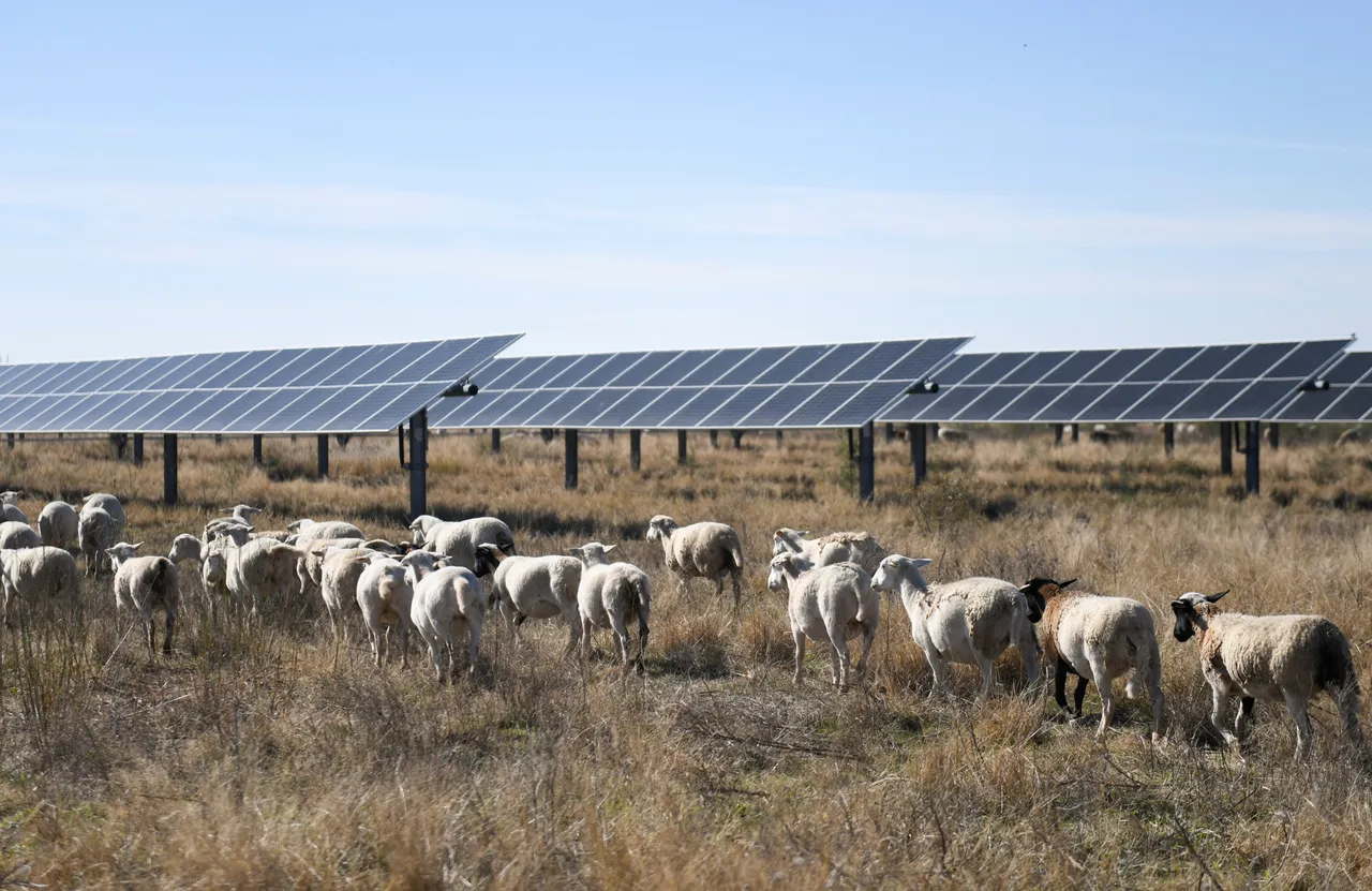 AS memuktamadkan kadar tarif tinggi ke atas import sel solar Asia Tenggara