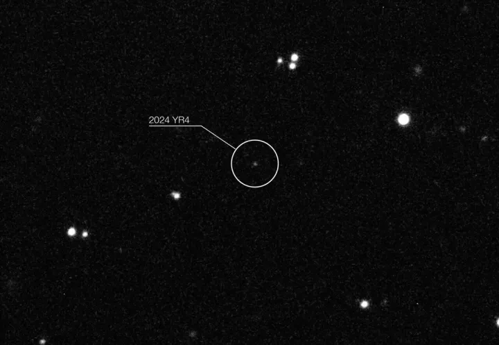 Amaran Asteroid