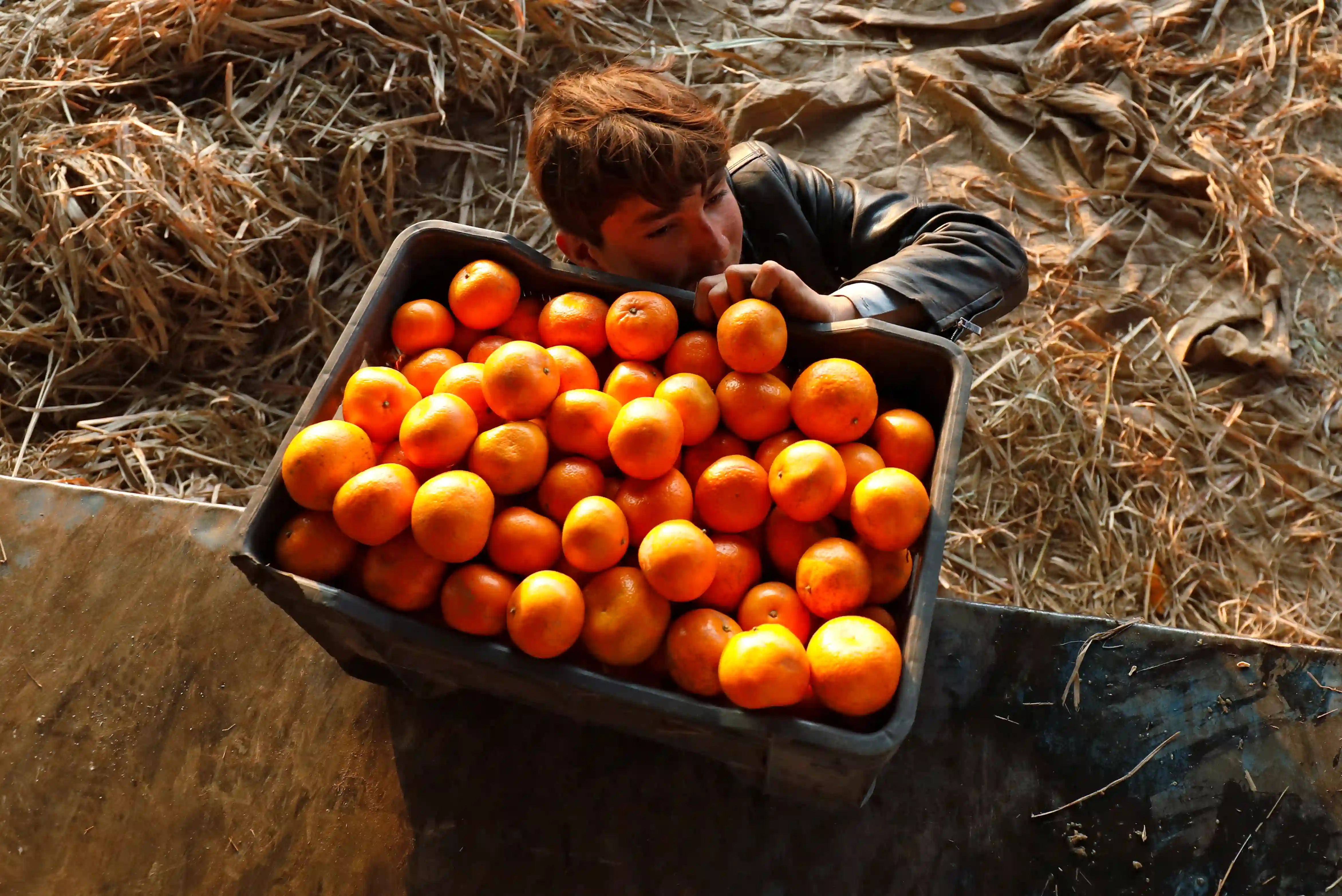 How chickpeas and oranges are helping Russia, Pakistan circumvent sanctions