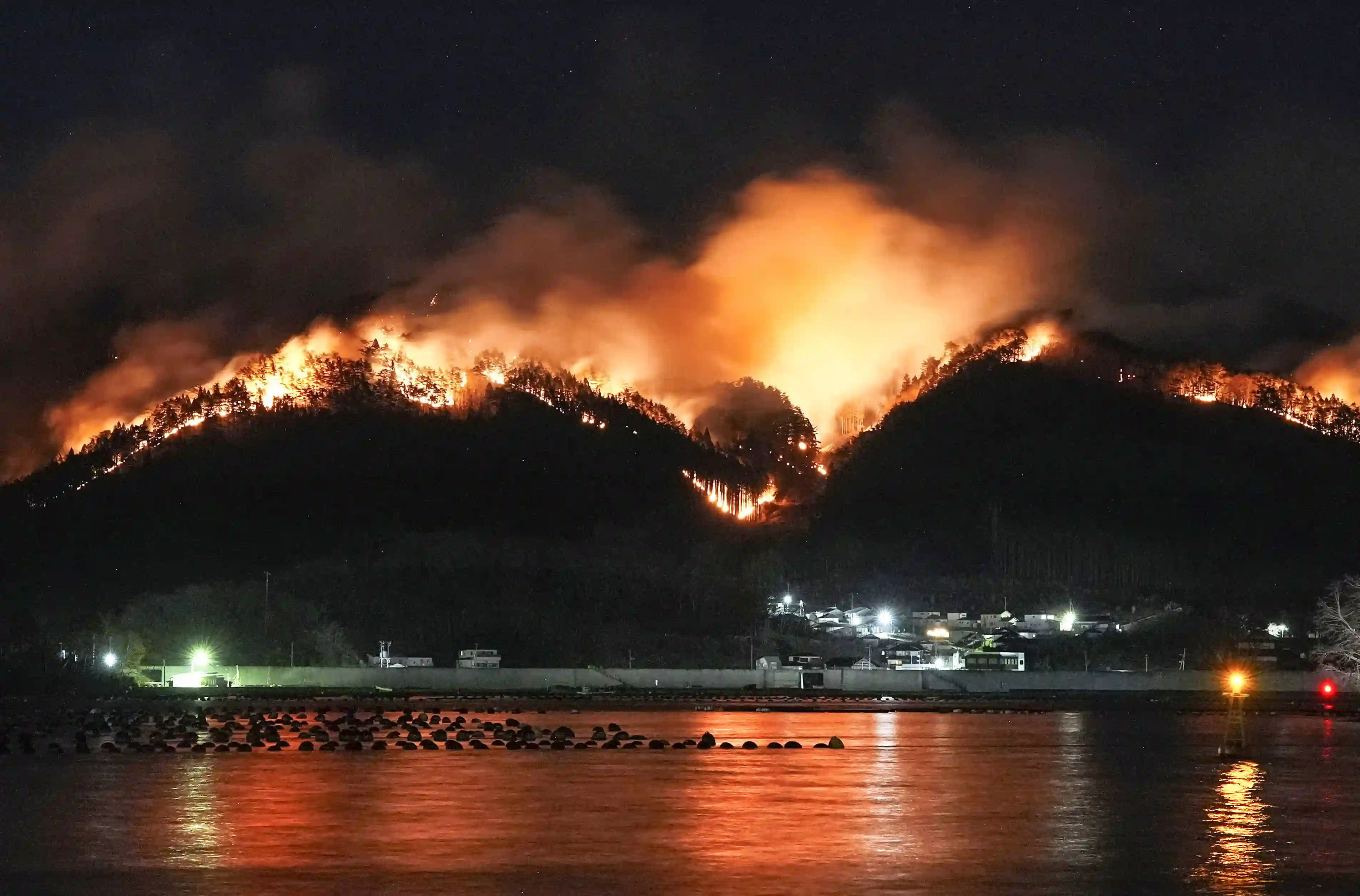 Japan se bori sa šumskim požarima