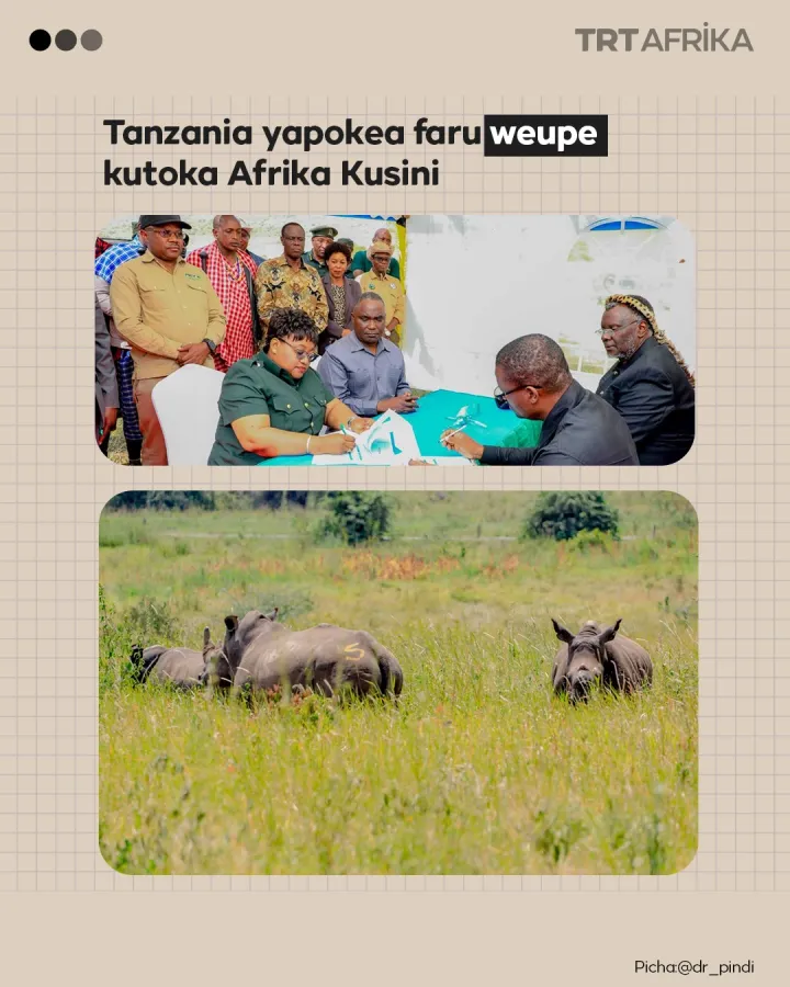 Tanzania yapokea faru weupe kutoka Afrika Kusini