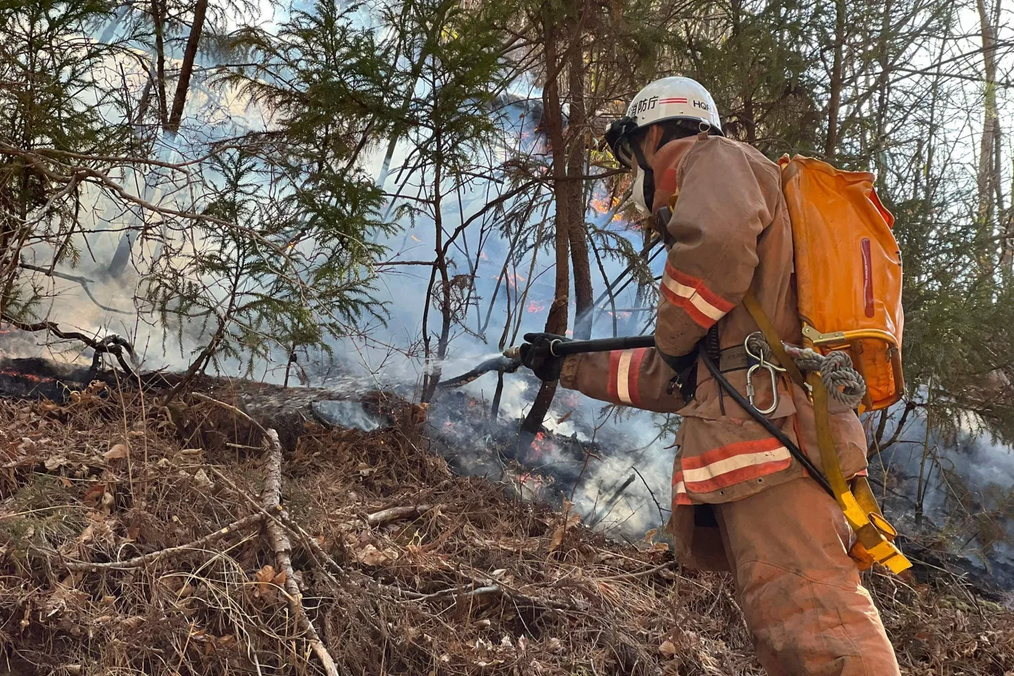 Japon : le pire incendie de forêt des 50 dernières années est maîtrisé