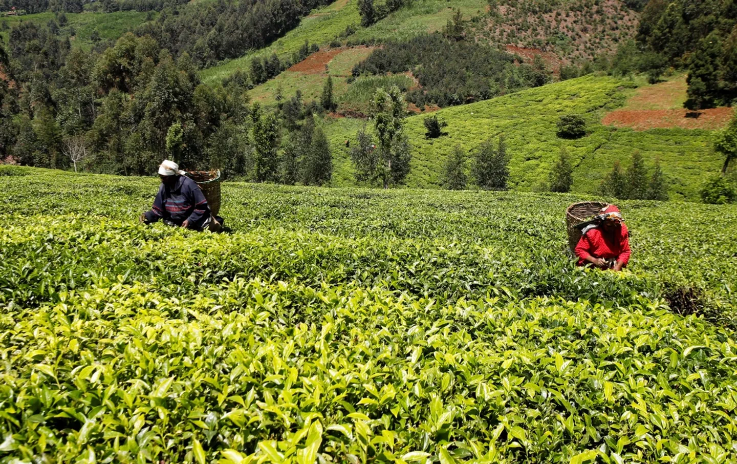 Sudan maintains ban on all imports from Kenya amid growing tensions