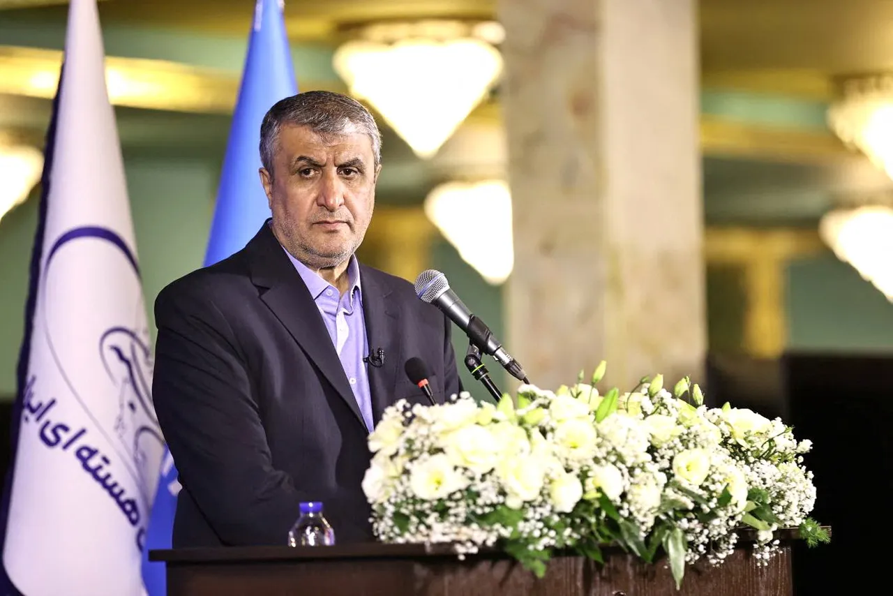 رئیس سازمان انرژی اتمی ایران: غنی‌سازی صفر در ایران یک شوخی است