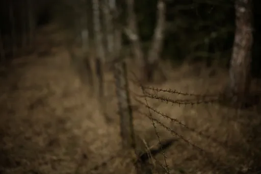 Asyl-Solidarität: Deutschland leistet 2026 keine Zusatzhilfe