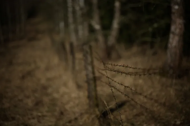 Asyl-Solidarität: Deutschland leistet 2026 keine Zusatzhilfe