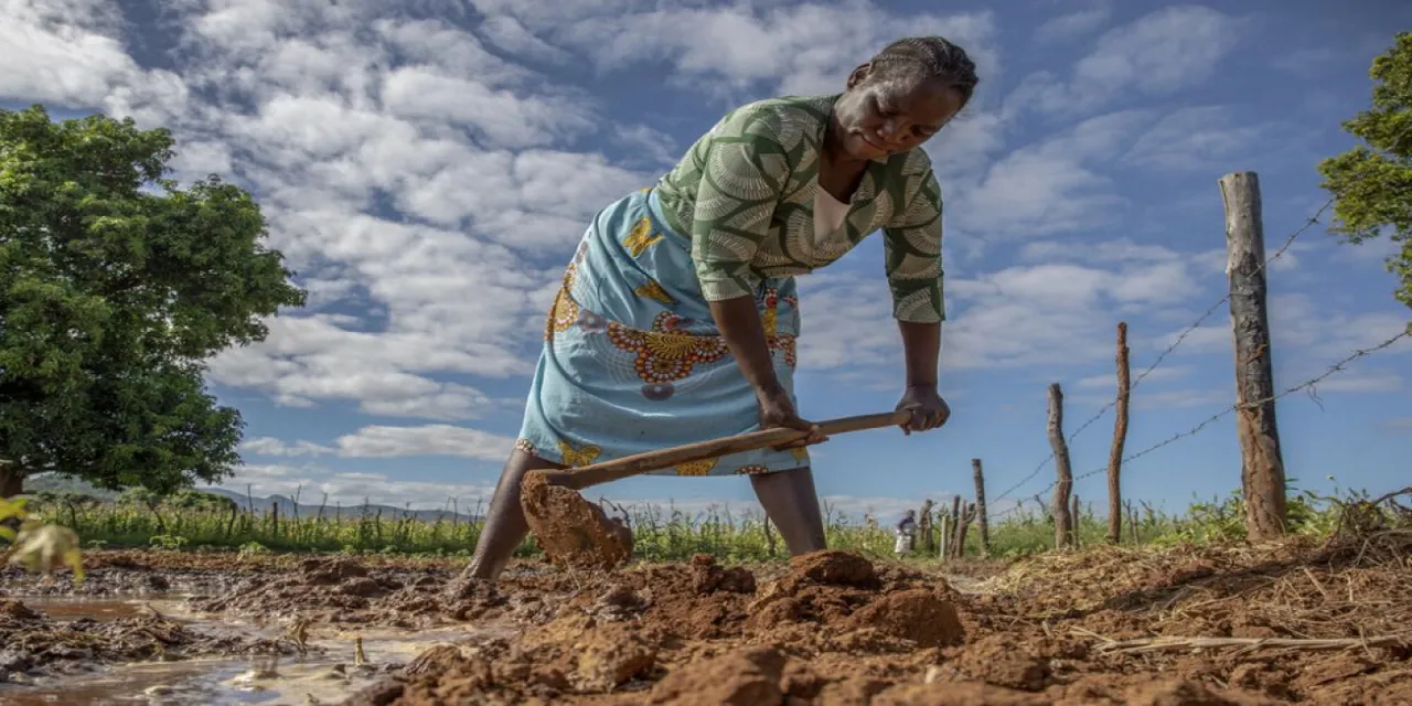 Feeding the world: How Africa's traditional agricultural practices are ...