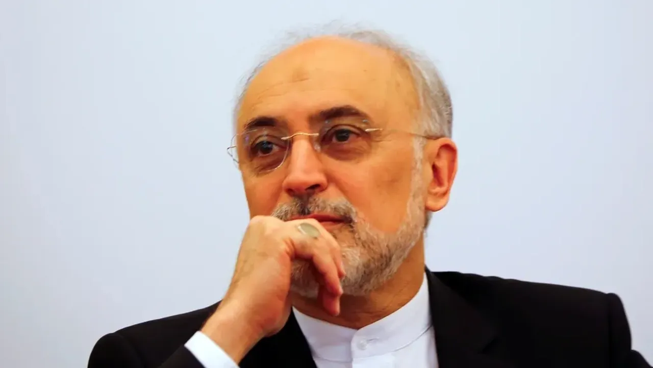 علیاکبر صالحی: پیشبینی در سیاست نه ممکن است و نه مطلوب اما ما همواره با دست پر از مسقط بازگشتیم