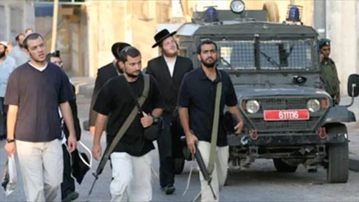100 ألف رخصة سلاح جديدة.. الفلسطينيون في مواجهة جيش منظم من المستوطنين