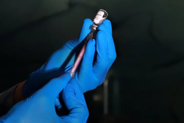 Arıqlama iynələrinin zərərləri