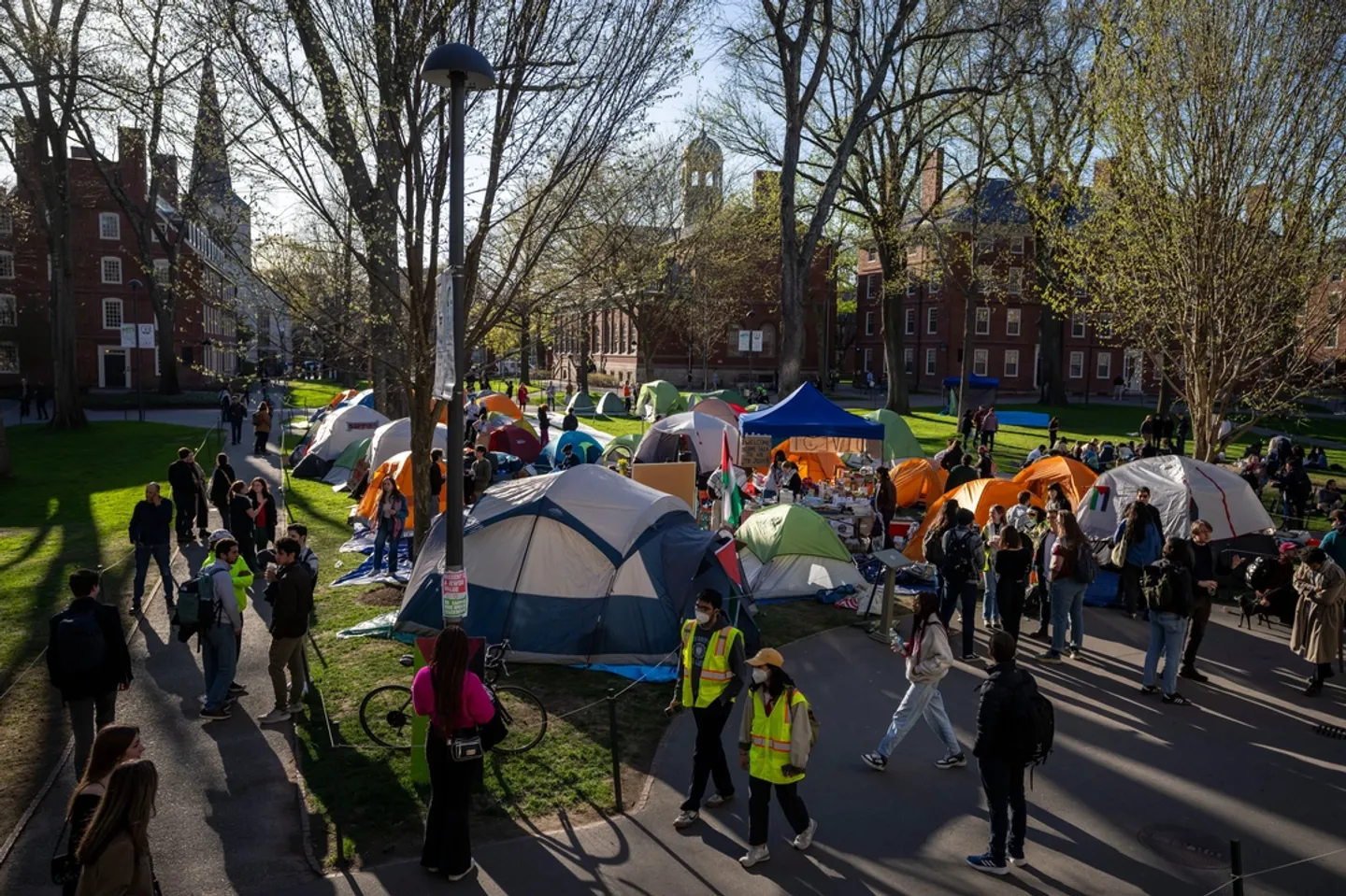 Harvard stands firm as Trump punishes the Ivy League university in free speech clash of the century