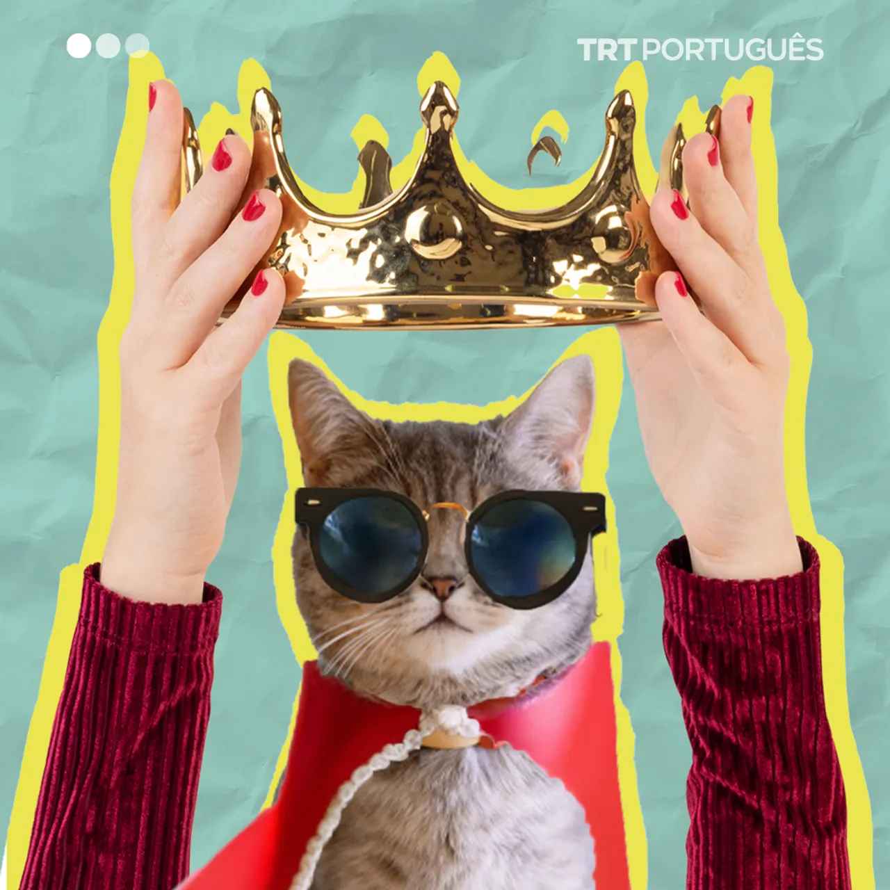 Gatos que governam o Mundo