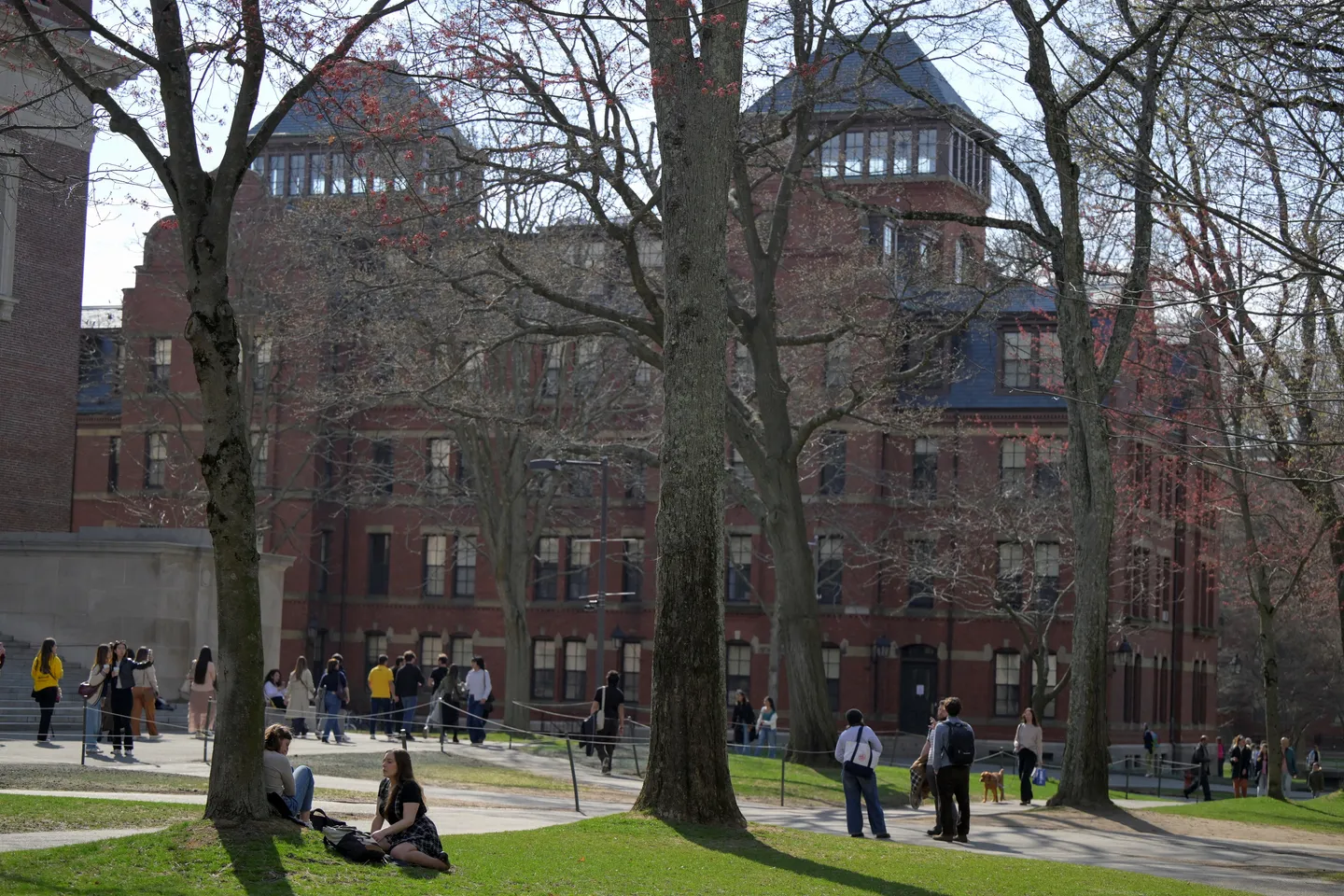 Трамп Гарвардты «Шетелдік студенттерге тыйым саламын» деп қорқытты