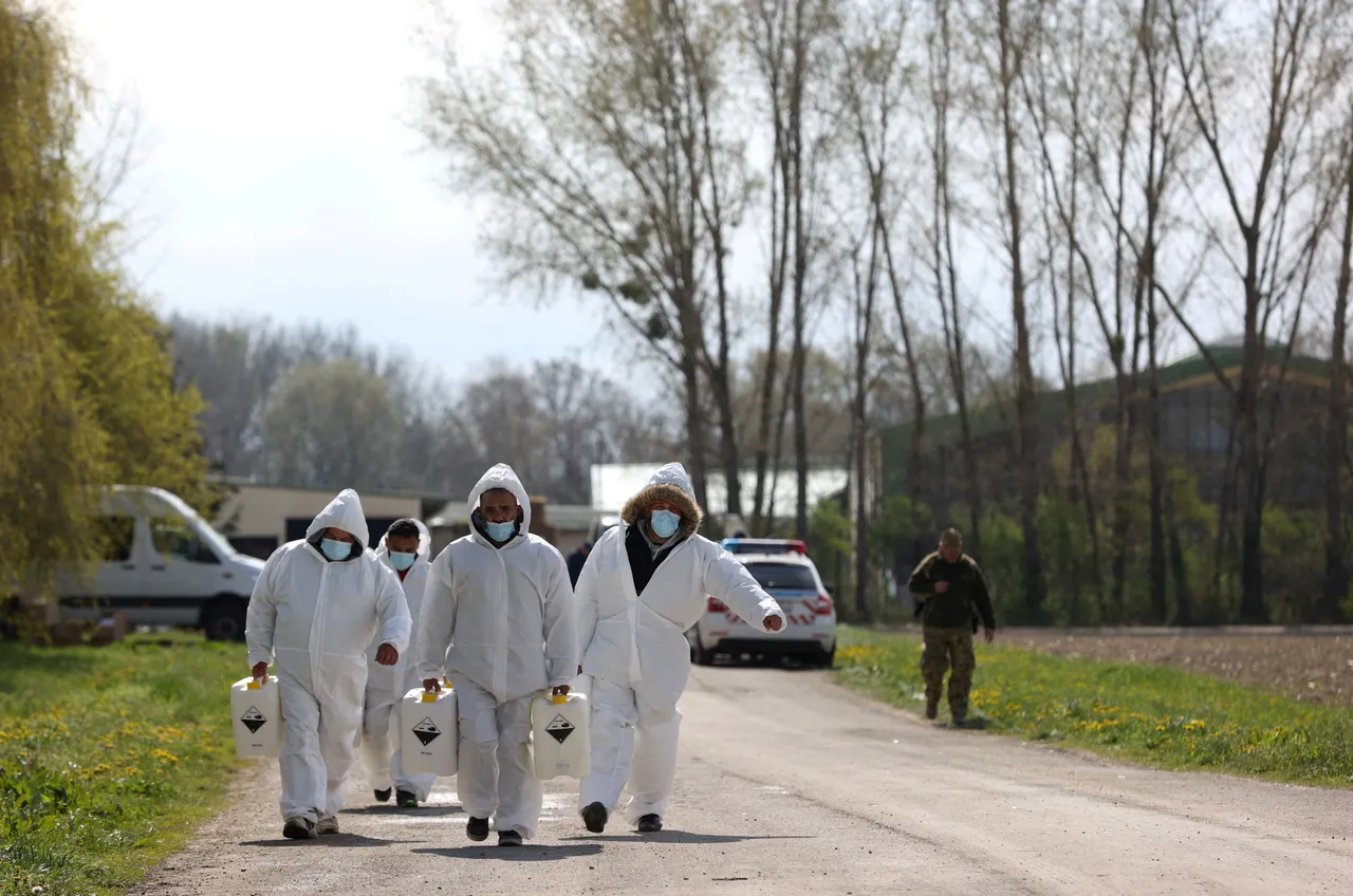 Britse regering verbiedt invoer van vlees en zuivel uit EU vanwege vrees voor mondenklauwzeer