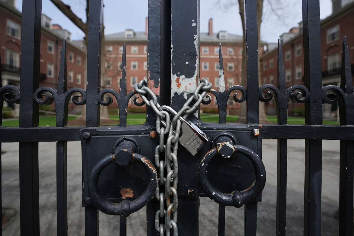 What is behind Trump’s war on Harvard?