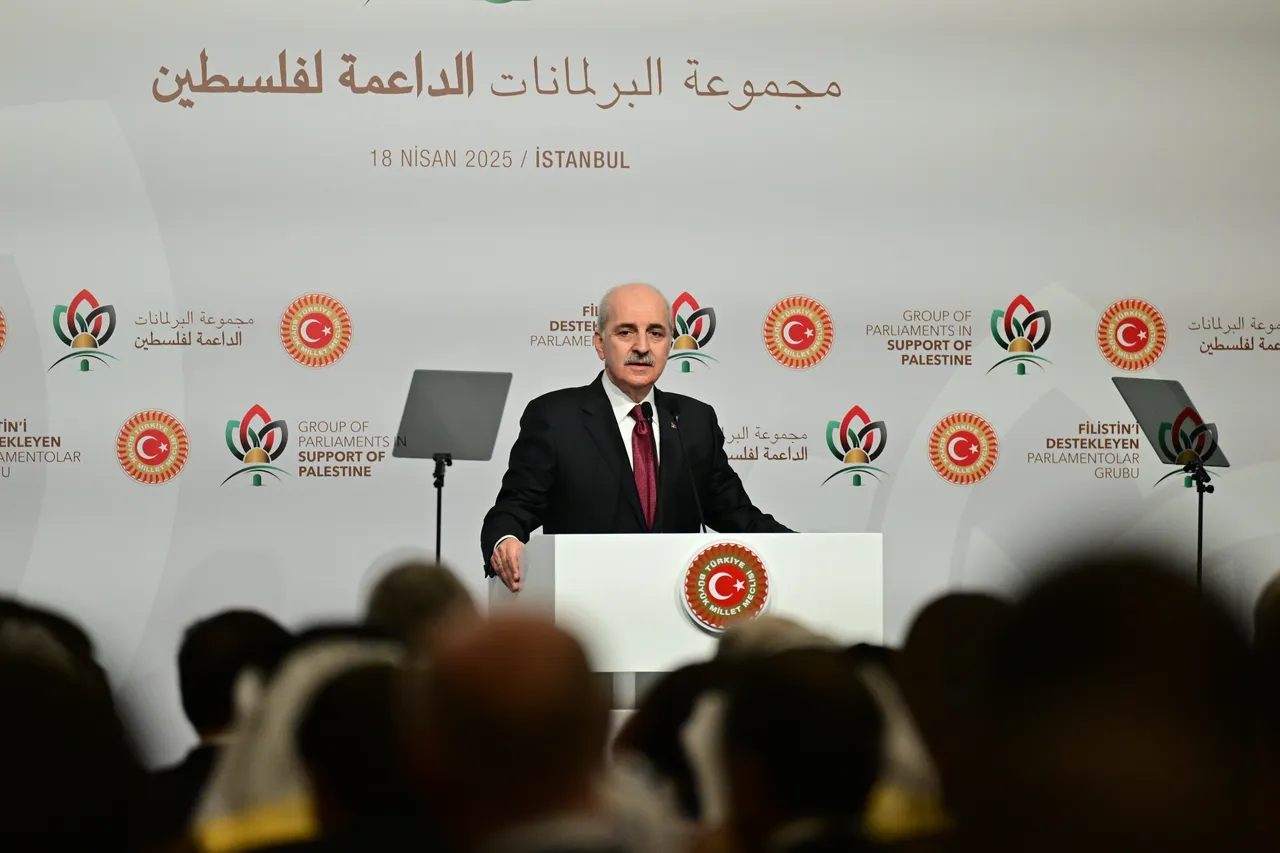 Türkiye rallies global lawmakers in support of Palestine at Parliamentary Forum in Istanbul