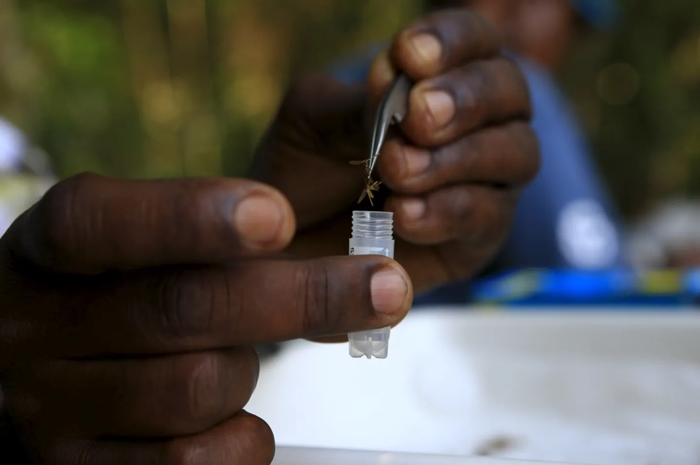Le Burkina confirme son premier cas de la maladie à virus Zika