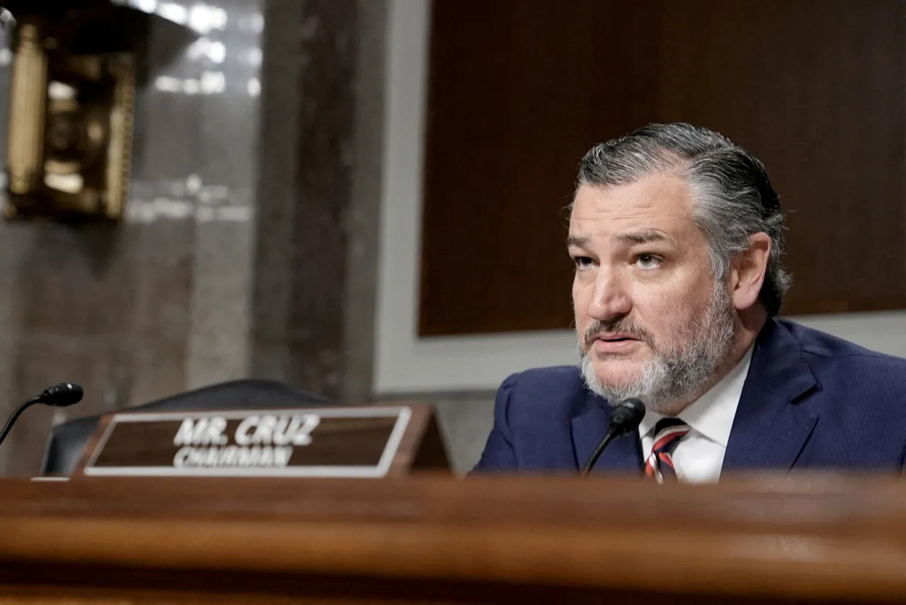 Ted Cruz questions Netflix and Warner Bros. execs in Senate: 'Are we right now on stolen land'