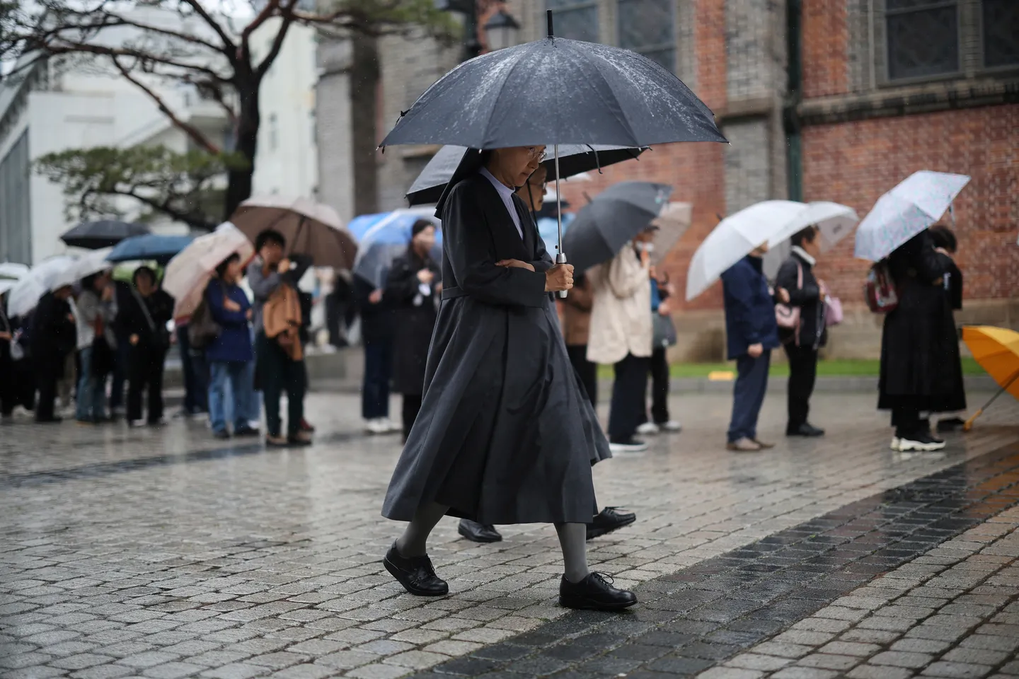 한국 고학력 청년 실업, 13개월 만에 최고치 기록