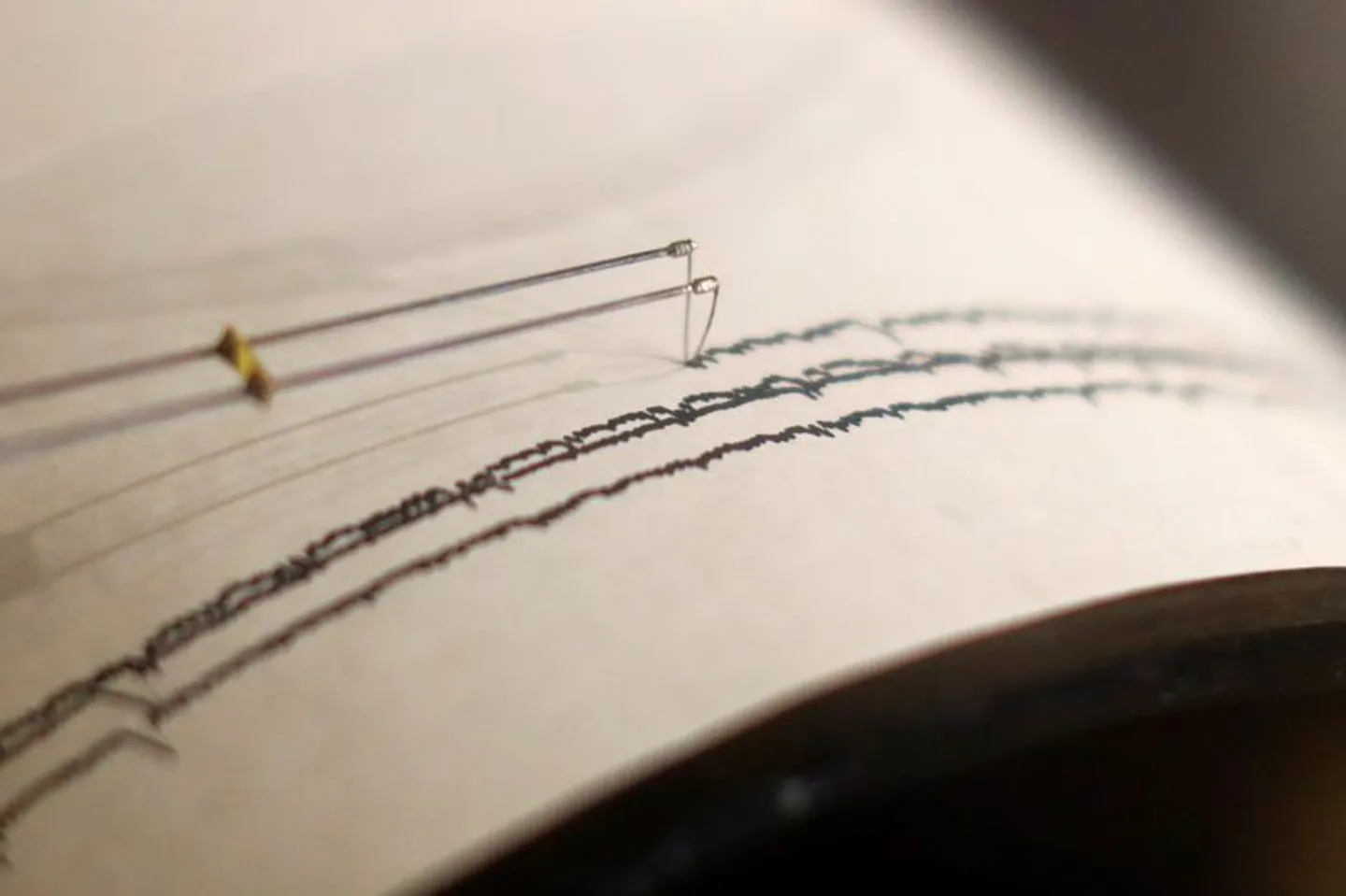 Gempa magnitudo 6,0 guncang Kabupaten Poso, Sulawesi Tengah: 1 meninggal, puluhan luka-luka