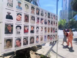 Tejiendo esperanzas: tecnología ciudadana contra la desaparición en México