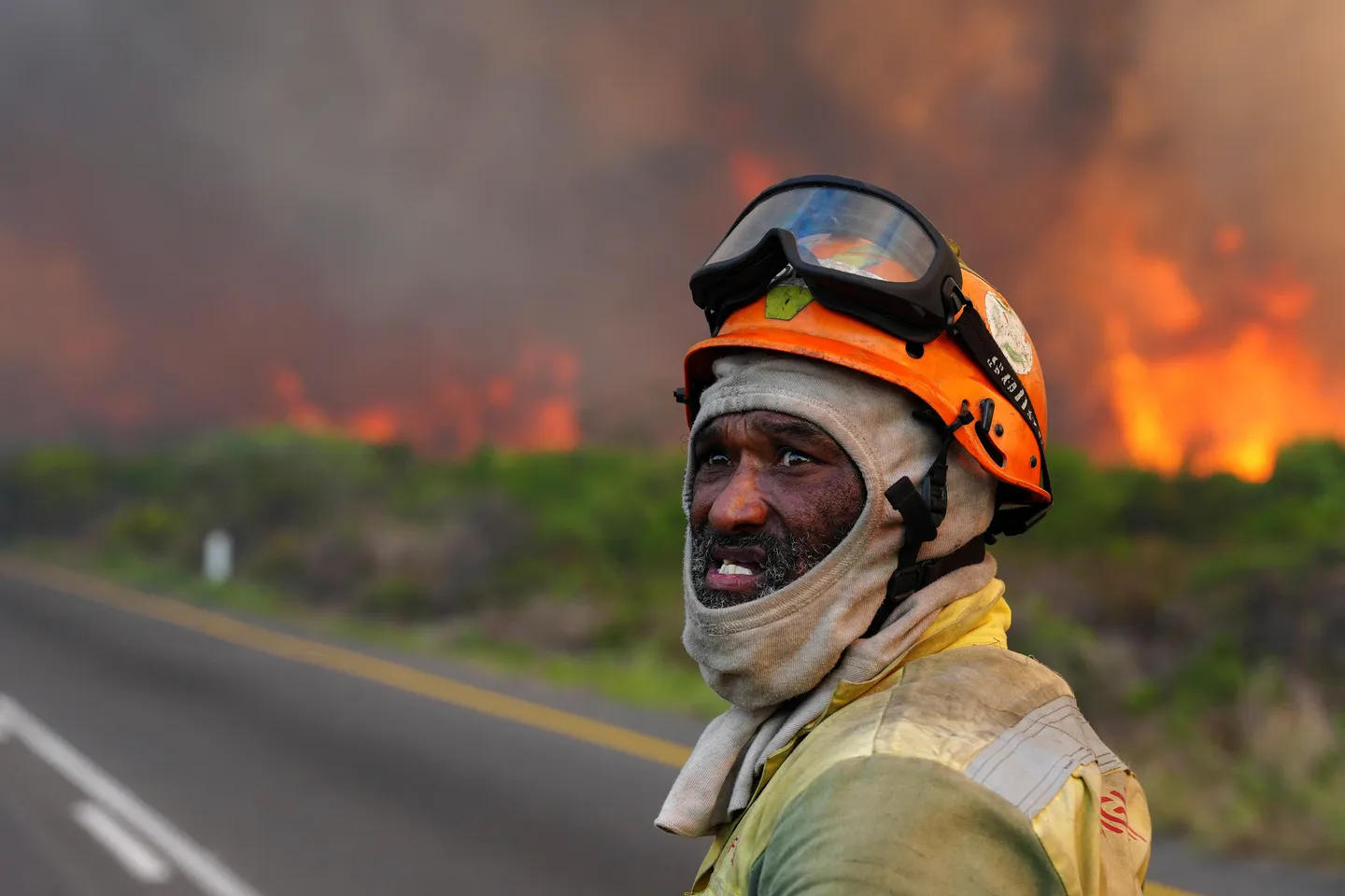 Fire destroys thousands of hectares of South Africa's Table Mountain forest