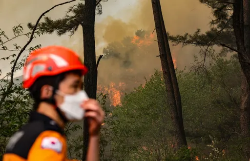 대한민국, 경주 산불 진압 위해 전국 소방력 동원령 발령