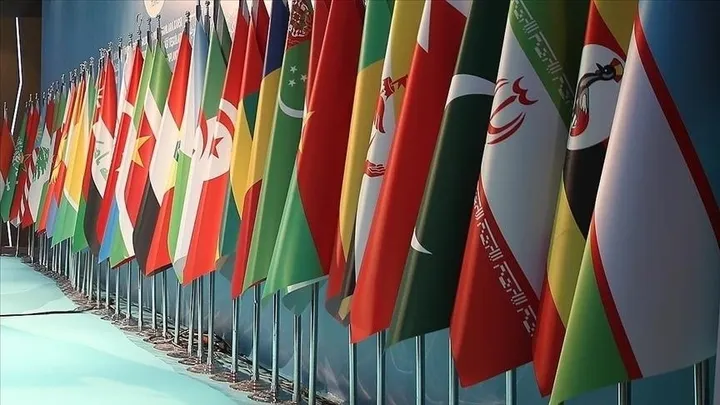 پنجاه و یکمین اجلاس وزیران امور خارجه سازمان همکاری اسلامی در استانبول برگزار می‌شود