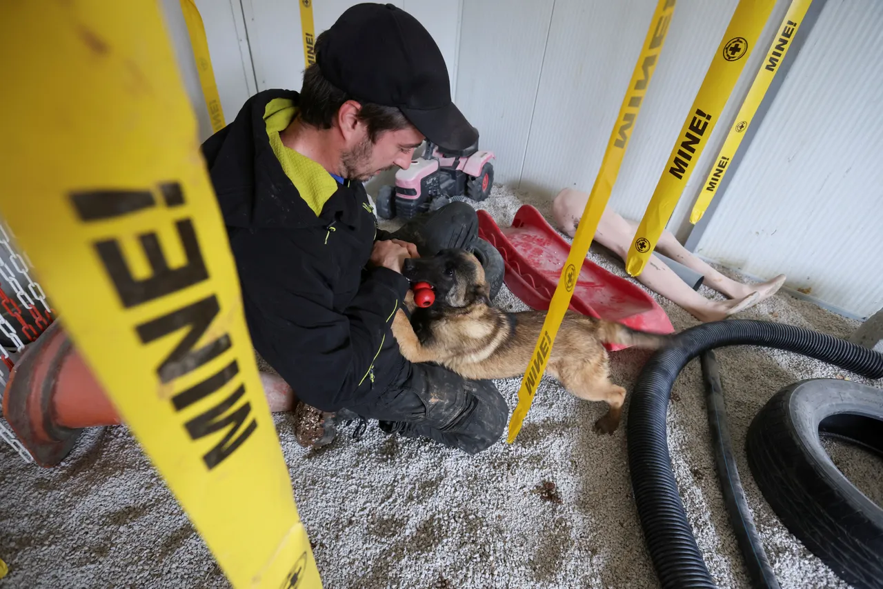 België maakt 1,35 miljoen euro vrij voor ontmijning in Irak en Syrië