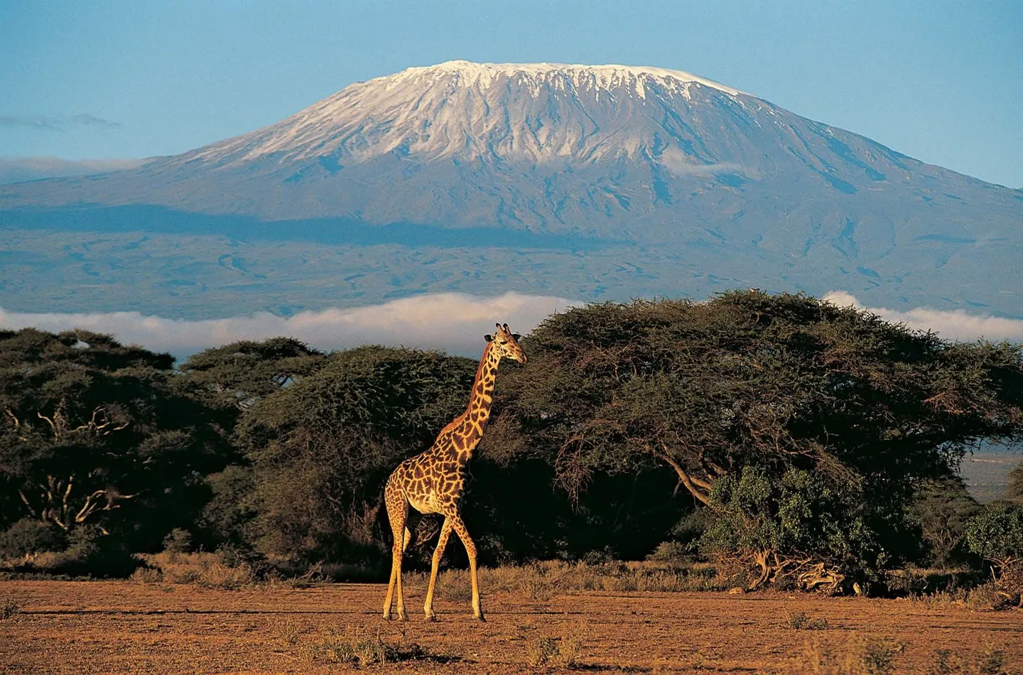 Mlima Kilimanjaro wang'ara kati ya maeneo ya kuvutia kwa picha ulimwenguni