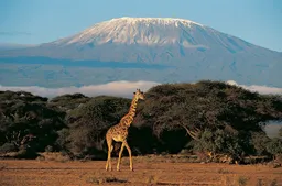 Mlima Kilimanjaro wang'ara kati ya maeneo ya kuvutia kwa picha ulimwenguni