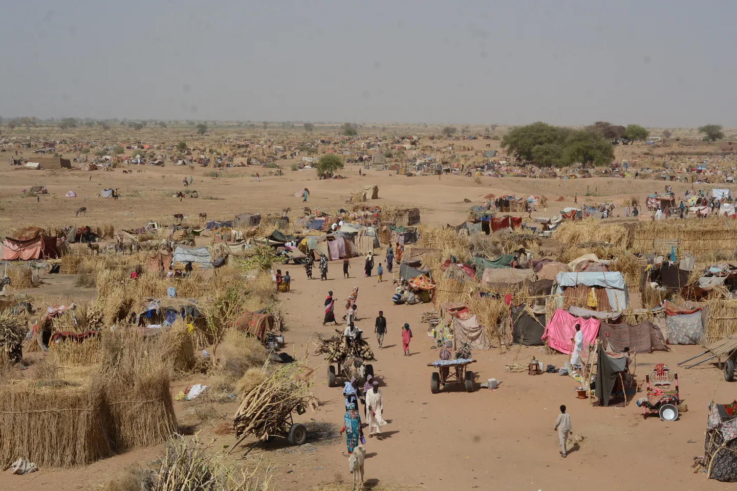 بذريعة التعاون مع الجيش.. "الدعم السريع" تعدم ميدانياً 27 شخصاً جنوبي السودان