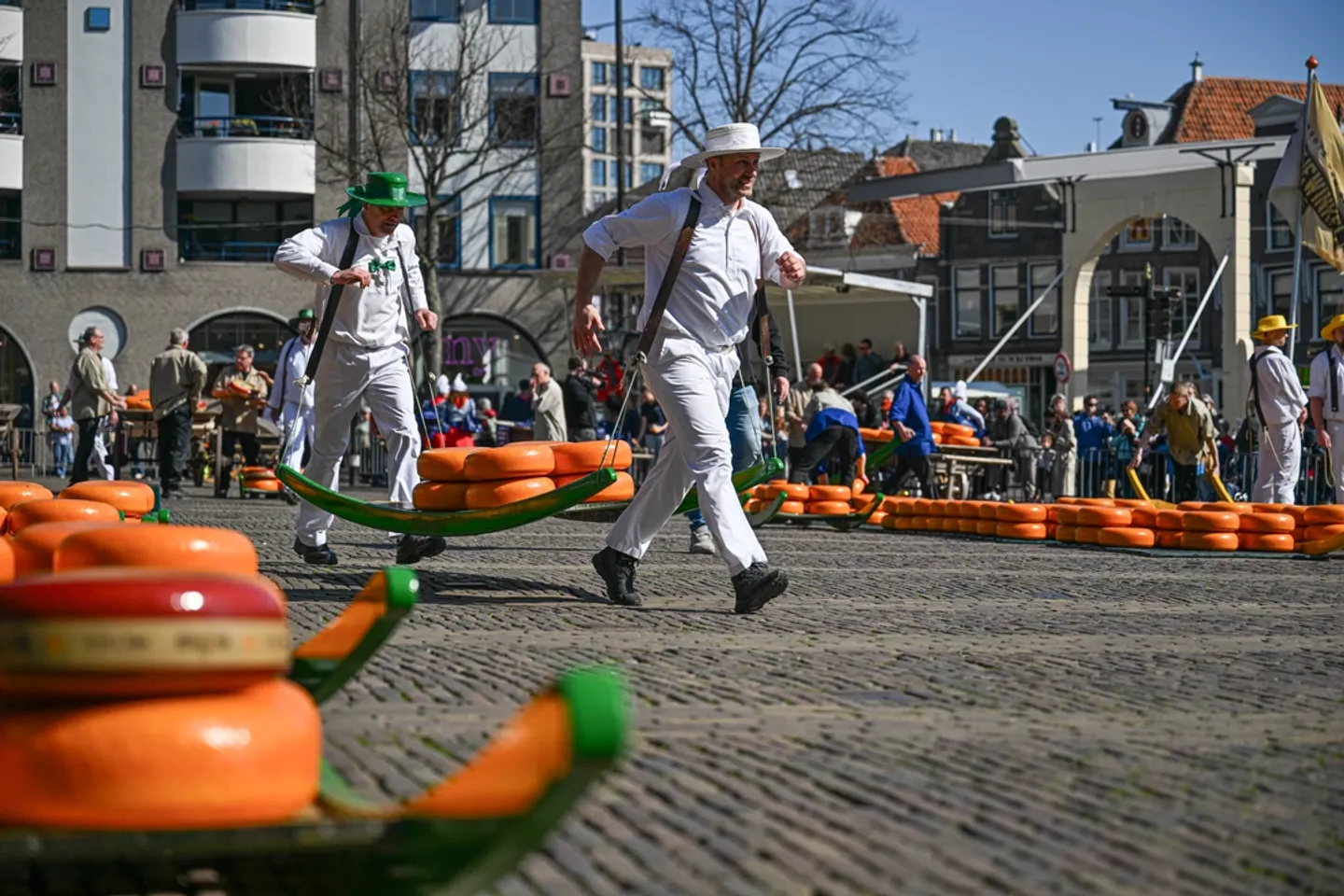 Alkmaar: Tradicionalna pijaca sira oživljava stoljetne običaje